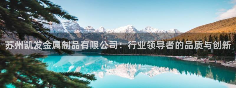 狗子28环保：苏州凯发金属制品有限公司：行业领导者的品质与创新