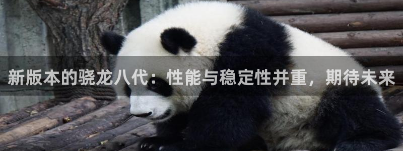 狗子28平台主管：新版本的骁龙八代：性能与稳定性并重，期待未来