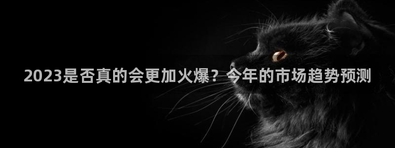 狗子28：2023是否真的会更加火爆？今年的市场趋势预测