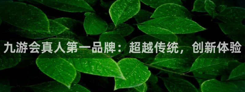 狗子28体育凯捷平台代理：九游会真人第一品牌：超越传统，创新体验