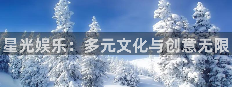狗子28体育和杏耀是哪个公司的：星光娱乐：多元文化与创意无限