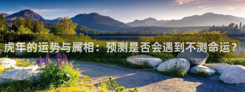 狗子28登陆：虎年的运势与属相：预测是否会遇到不测命运？