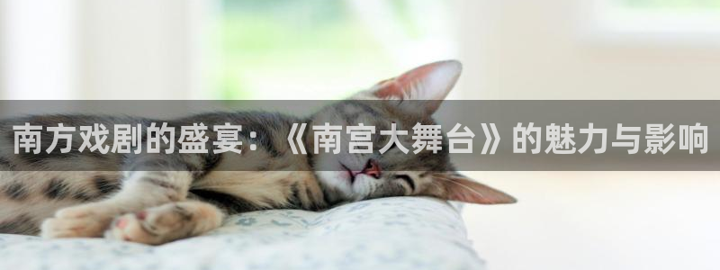 狗子28登录界面入口：南方戏剧的盛宴：《南宫大舞台》的魅力与影响
