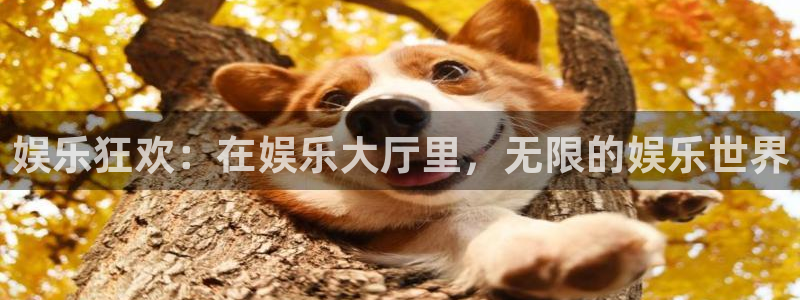 狗子28体育2官网入口：娱乐狂欢：在娱乐大厅里，无限的娱乐世界