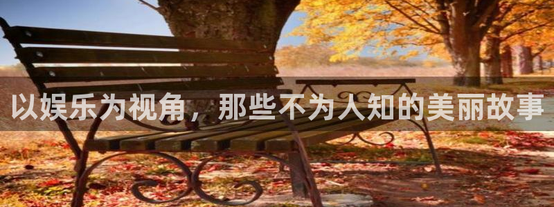 狗子28电子有限公司：以娱乐为视角，那些不为人知的美丽故事