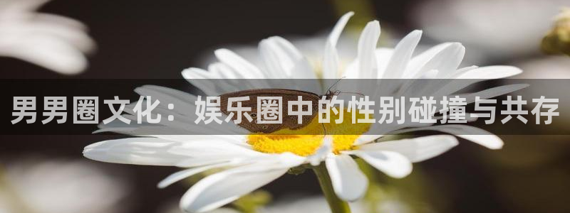 狗子28体育凯捷代理注册：男男圈文化：娱乐圈中的性别碰撞与共存