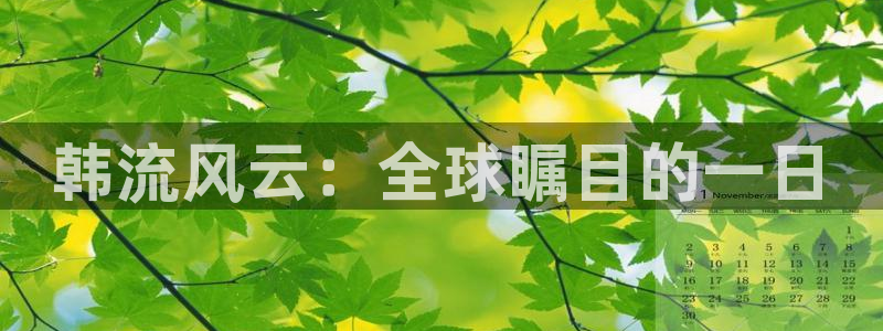 狗子284平台注册：韩流风云：全球瞩目的一日
