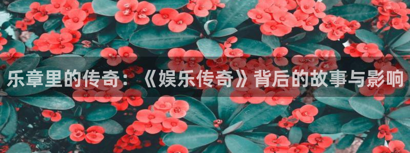 狗子28登录：乐章里的传奇：《娱乐传奇》背后的故事与影响