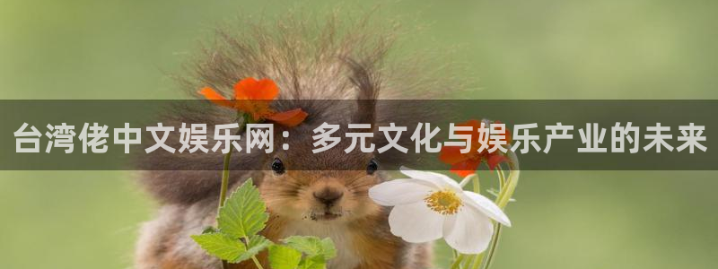狗子28k：台湾佬中文娱乐网：多元文化与娱乐产业的未来