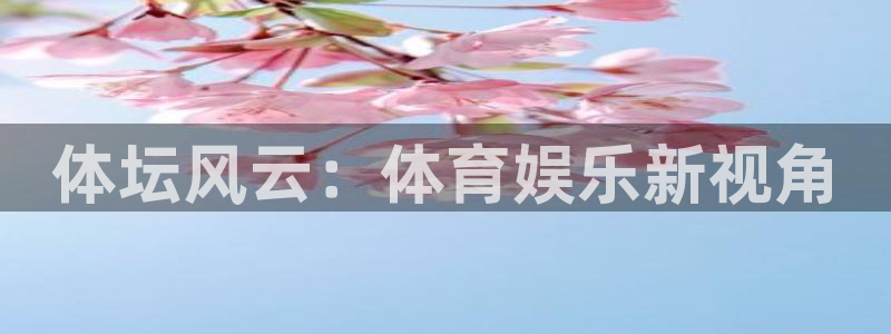狗子283注册：体坛风云：体育娱乐新视角