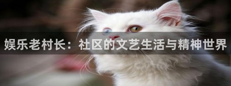 狗子28体育娱乐注册链接：娱乐老村长：社区的文艺生活与精神世界
