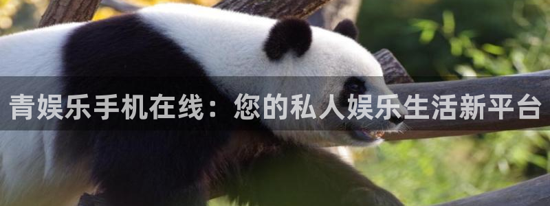 狗子28代理注册官网入口：青娱乐手机在线：您的私人娱乐生活新平台