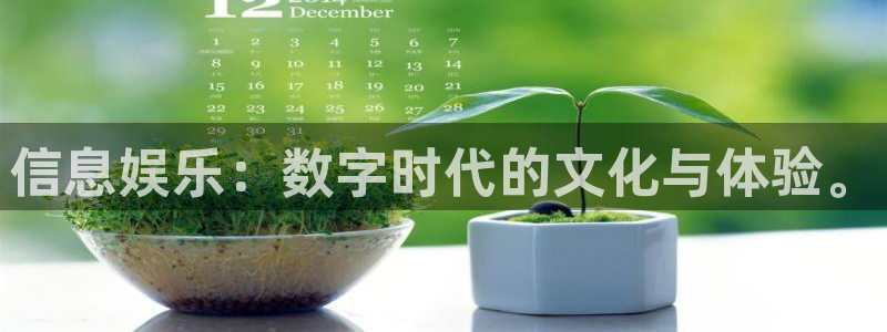 狗子28体育3在线注册：信息娱乐：数字时代的文化与体验。