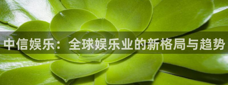 狗子28官网注册：中信娱乐：全球娱乐业的新格局与趋势