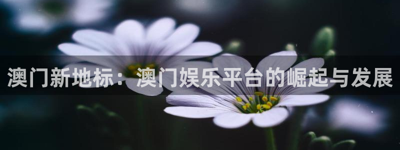 狗子284官网：澳门新地标：澳门娱乐平台的崛起与发展
