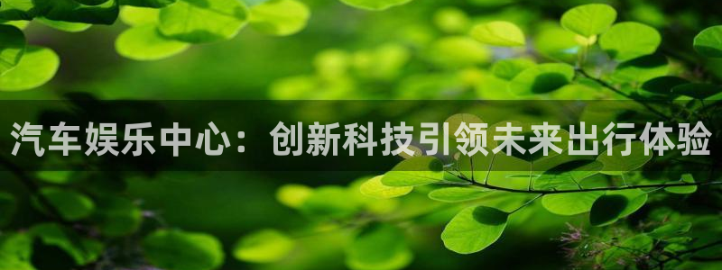 狗子284：汽车娱乐中心：创新科技引领未来出行体验