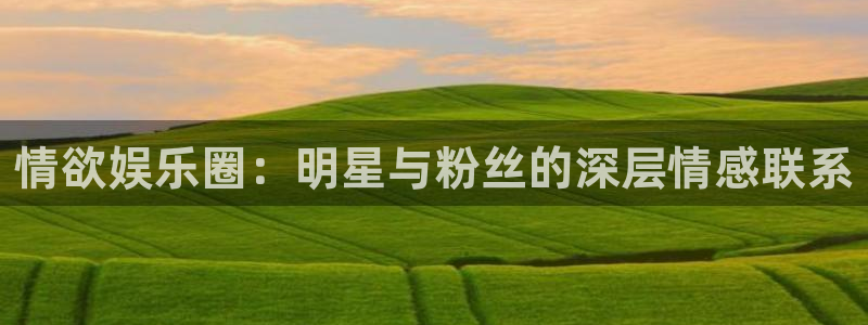 狗子28体育凯捷平台代理：情欲娱乐圈：明星与粉丝的深层情感联系