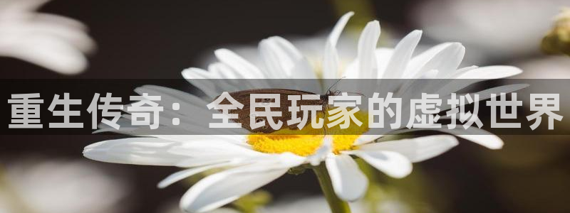 狗子28：重生传奇：全民玩家的虚拟世界