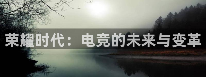 狗子28平台：荣耀时代：电竞的未来与变革